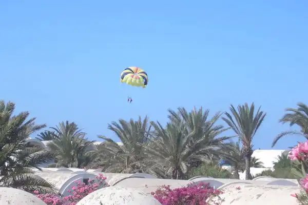 activit es a djerba