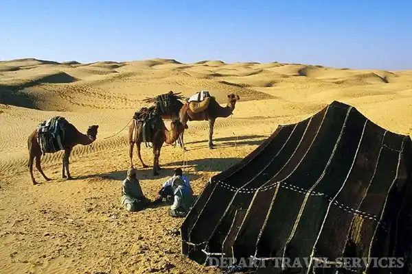 bivouac sauvage desert