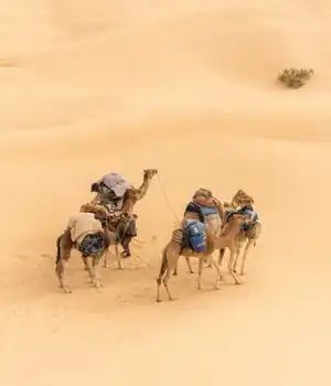 excursions au depart djerba douz desert