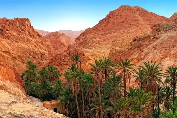 les oasis de montagnes tozeur