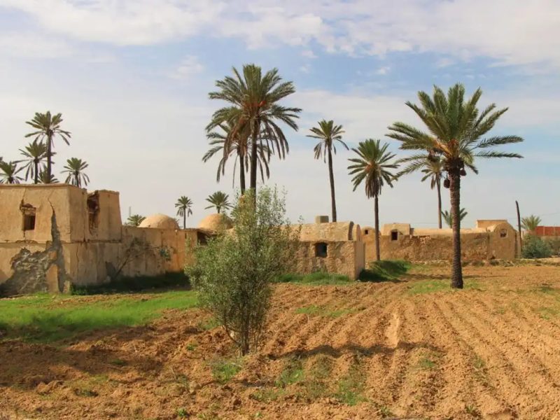 planifiez votre aventure tunisienne parfaite