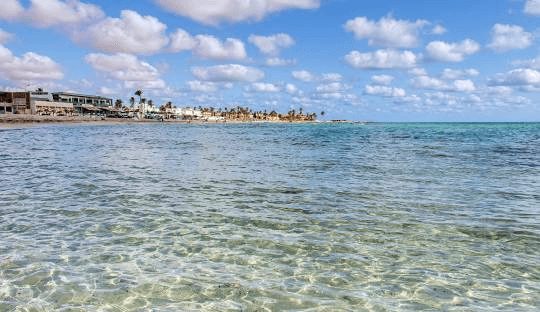 planifiez votre aventure tunisienne parfaite