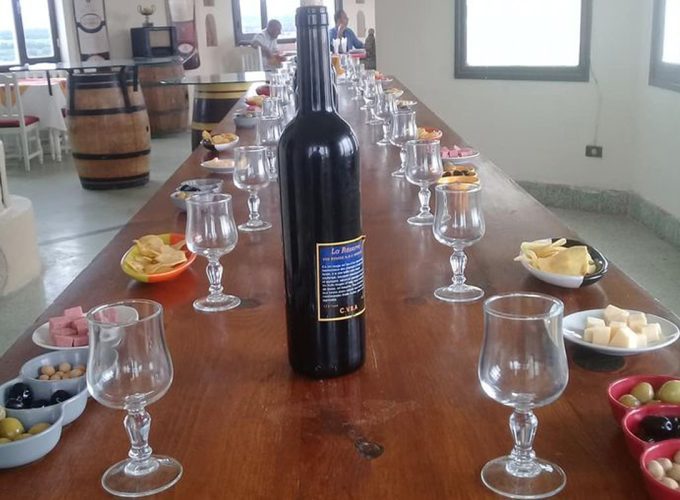 wine tasting tour barbecue tunis