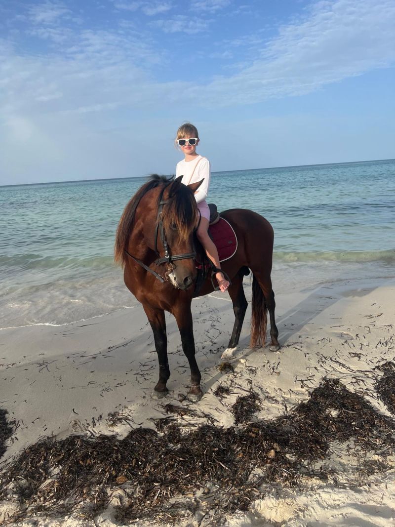Balade a cheval 2h · plage et lagune de Djerba