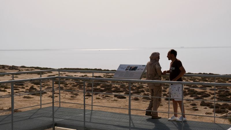Balade à dromadaire à Djerba