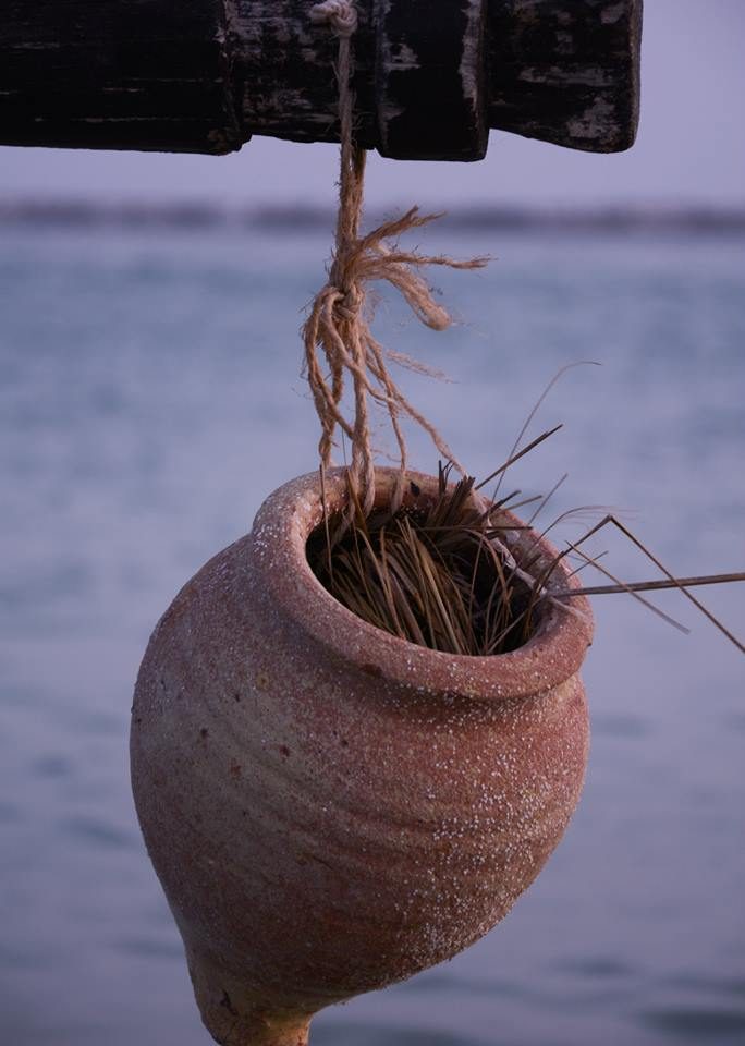 Tour culturel &amp; historique de Djerba — journée