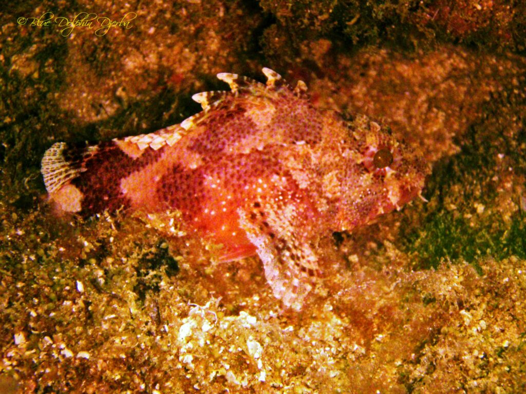 Pêche ancestrale – patrimoine maritime