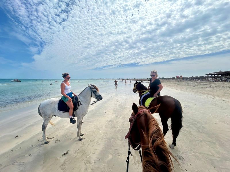 Stage équitation — 3h apprentissage