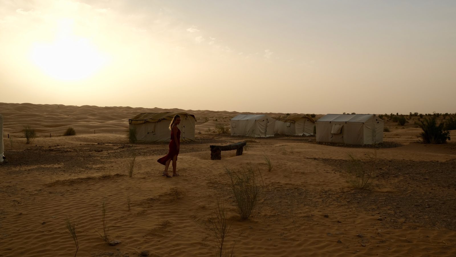 Tunis/Hammamet/Sousse : visite express 2 jours Sahara